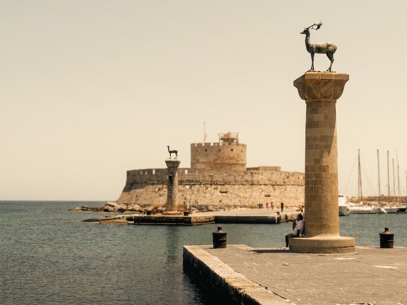 The Dama-Dama Deer of Rhodes