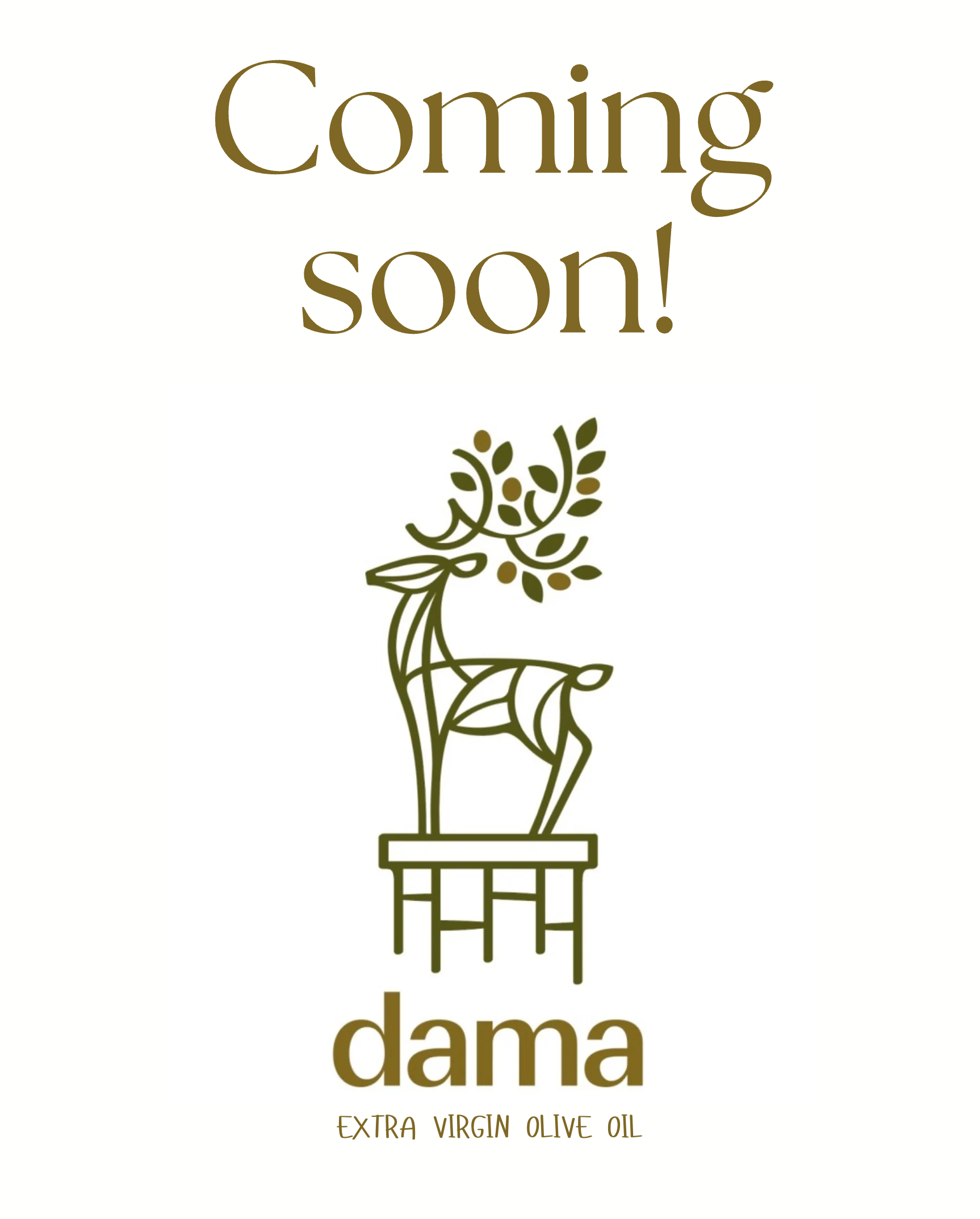 dama Extra Virgin Olive Oil Coming Soon